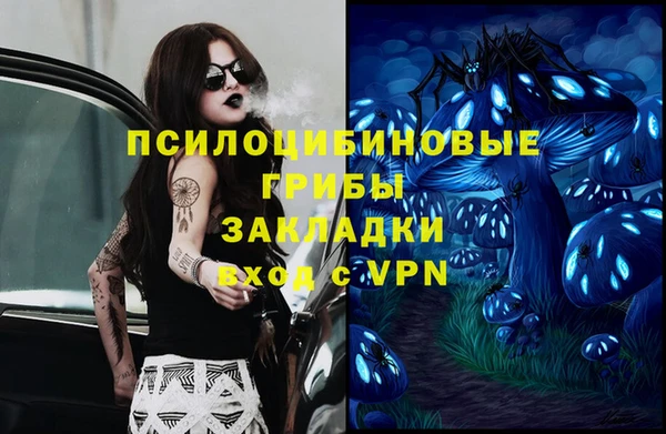 крисы Козловка