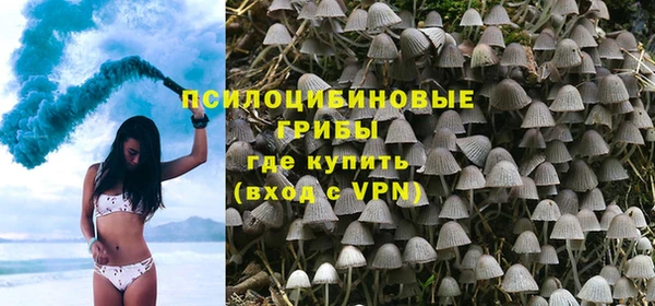 mix Козельск