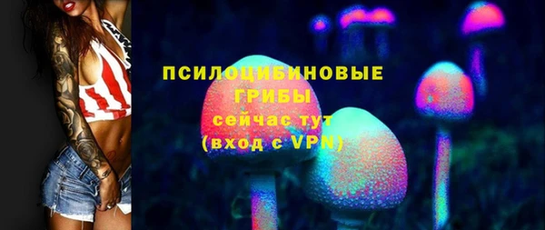 крисы Козловка