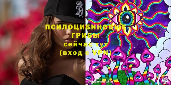 трава Кодинск