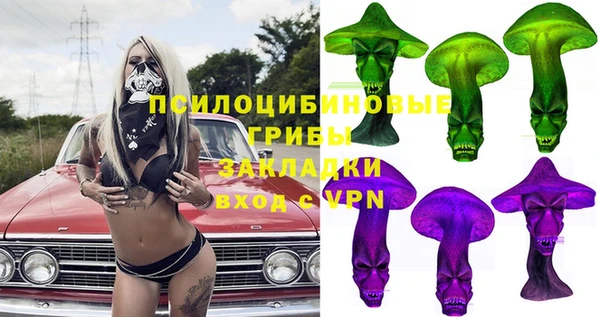крисы Козловка