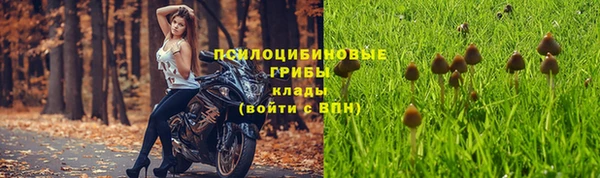 крисы Козловка