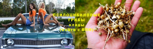 трава Кодинск